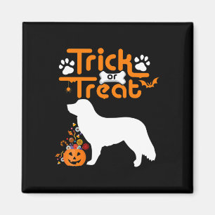 Trick or Treat Duck Tolling Retriever Hund Hallowe Magnet