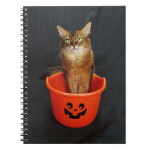 Trick or Treat Somali Cat Notizblock
