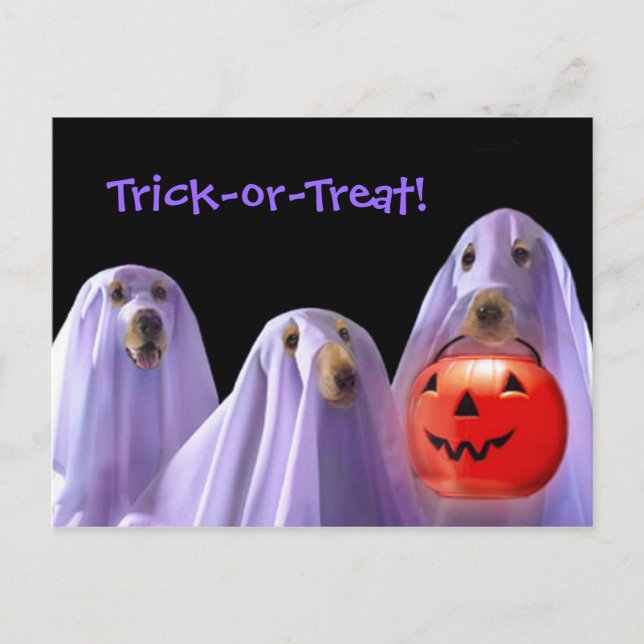 Trick-or-Treating Ghost Hund Halloween Postkarte (Vorderseite)