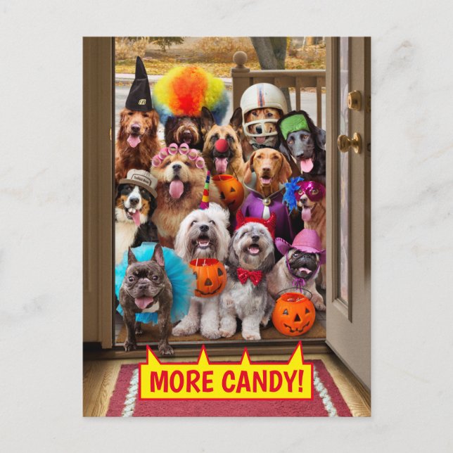 Trick-or-Treating Hunde Einladungspostkarte (Vorderseite)