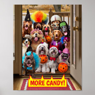 Trick-or-Treating Hunde Poster