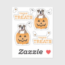 Tricks für Leckereien English Bulldog Orange