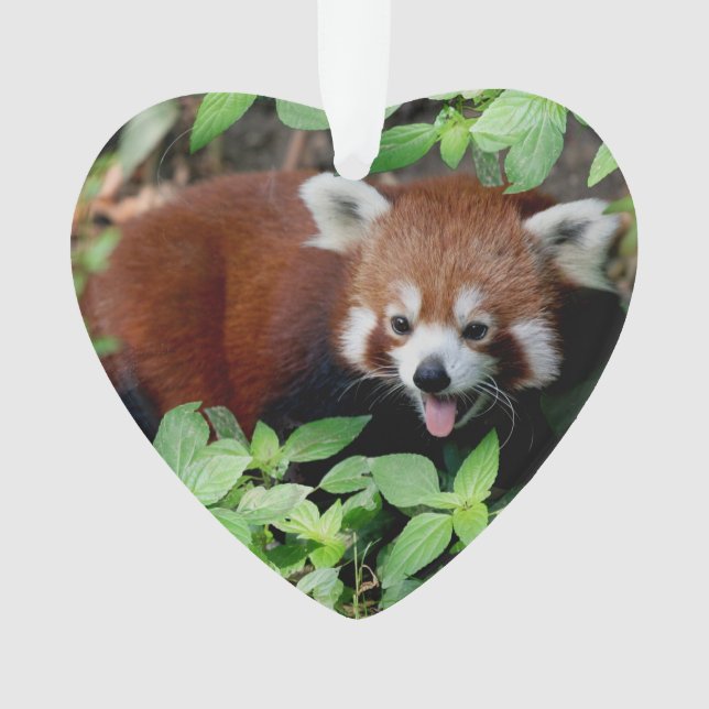Tricksy Red Panda, individuell einstellbar Ornament (Vorderseite)