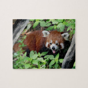 Tricksy Red Panda Puzzle