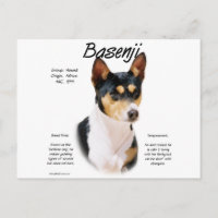 Tricolor Basenji Geschichte, Alles über Basenjis
