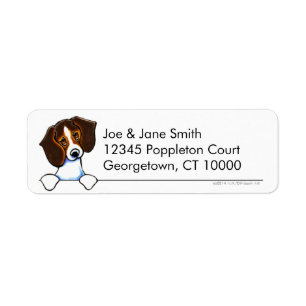 Tricolor-Beagle sauber und einfach