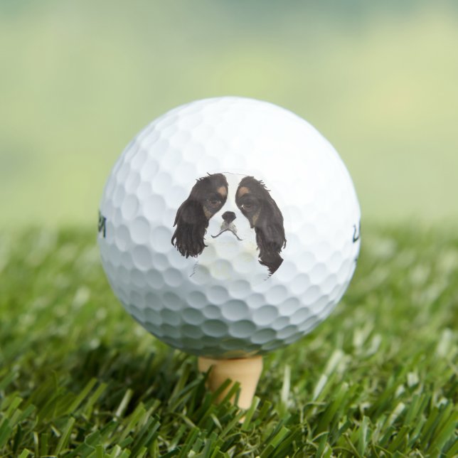 Tricolor Cavalier King Charles Spaniel Golfball (Insitu T-Shirt)
