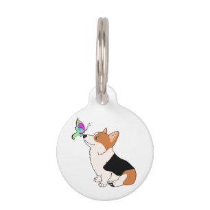Tricolor Corgi mit Butterfly Haustiermarke