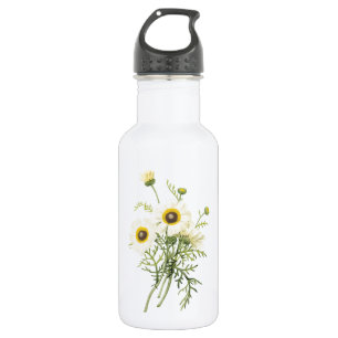 Tricolor daisy (Chrysanthemum carinatum) von Redou Trinkflasche