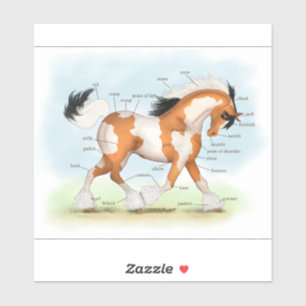 Tricolor Overo Pinto Sinti und Roma Horse Anatomic Aufkleber