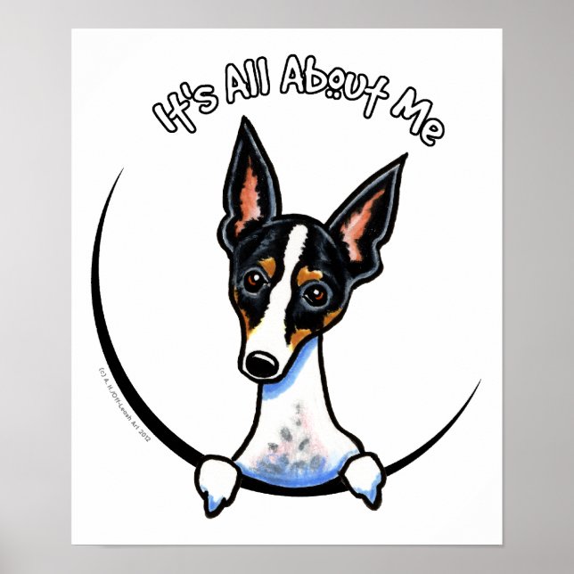 Tricolor Rat Terrier IAAM Poster (Vorne)