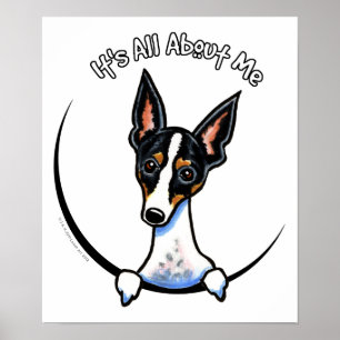 Tricolor Ratte Terrier IAAM Poster