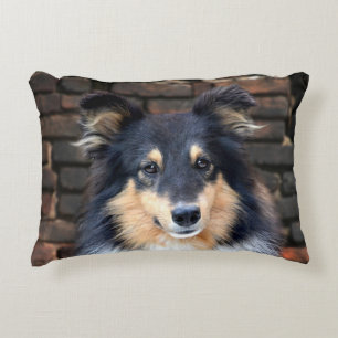 Tricolor Sheltie Dekokissen