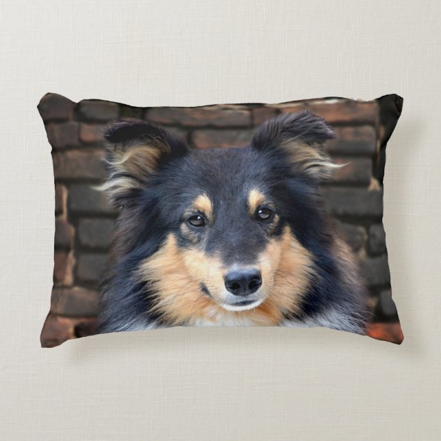 Tricolor Sheltie Dekokissen (Vorderseite)