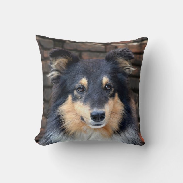 Tricolor Sheltie Kissen (Vorderseite)