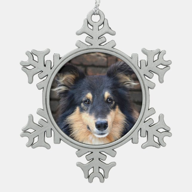 Tricolor Sheltie stellen gegenüber Schneeflocken Zinn-Ornament (Vorderseite)