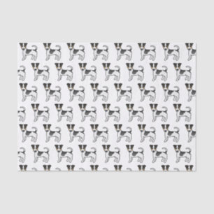 Tricolor Smooth Coat Jack Russell Terrier Hunde Seidenpapier