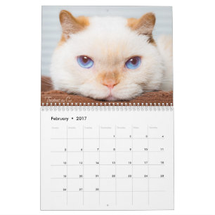 Trident 2017 der Katzen-Kalender Kalender