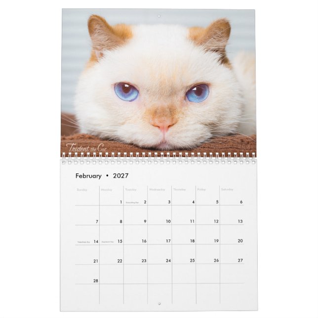 Trident 2017 der Katzen-Kalender Kalender (Feb 2027)