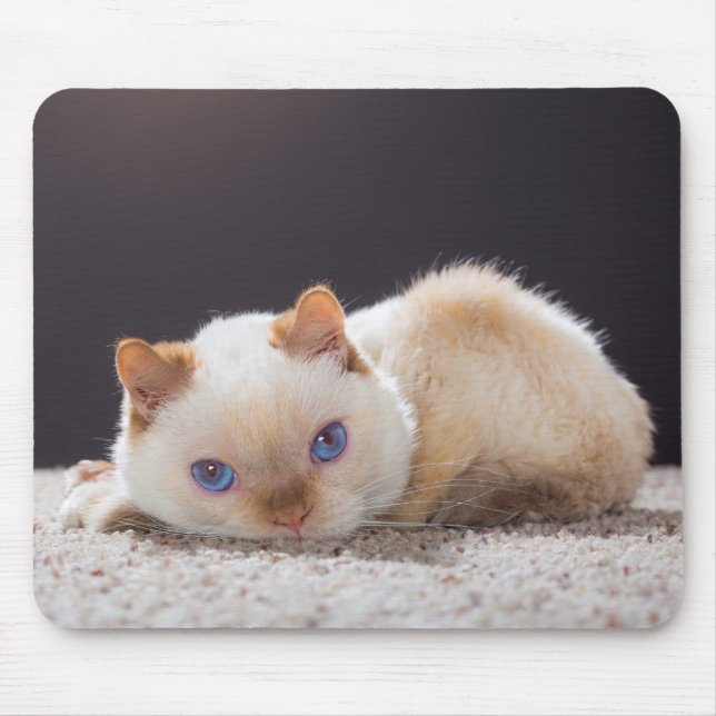 Trident die Katzen-Mausunterlage 01 Mousepad (Vorne)
