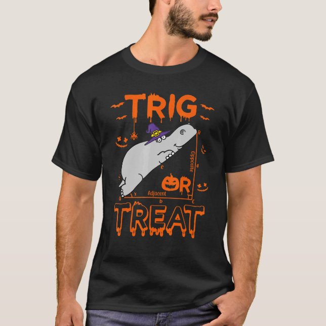 Trig oder Leckerei Hippopotamus Math Lehrer Kostüm T-Shirt (Vorderseite)
