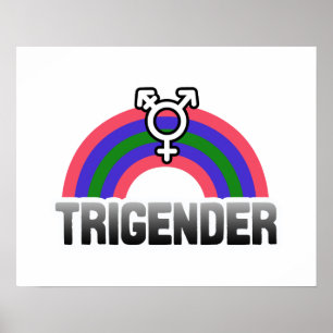 Trigender Stolz Poster