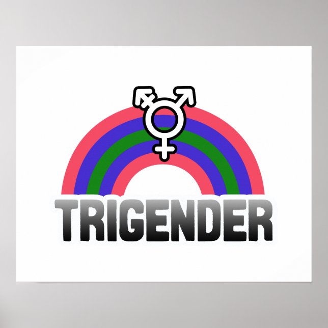 Trigender Stolz Poster (Vorne)