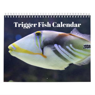 Triggerfisch 2025 kalender