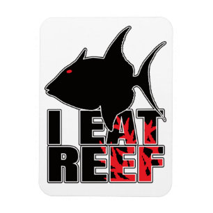 Triggerfish Triggerfish Reef Fisch - Meeresgeek Magnet