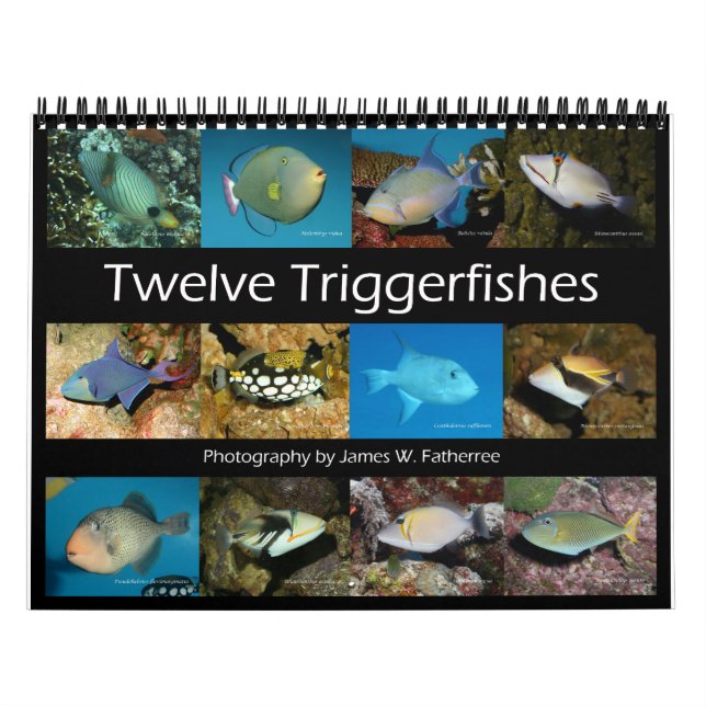 Triggerfish Wall Calendar von J.W. Vater. Kalender (Titelbild)