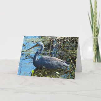 "Trikolorierter Heron 1."Grußkarte Karte