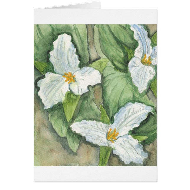 Trillium (Vorne)