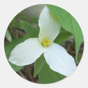 Trillium-Aufkleber Runder Aufkleber