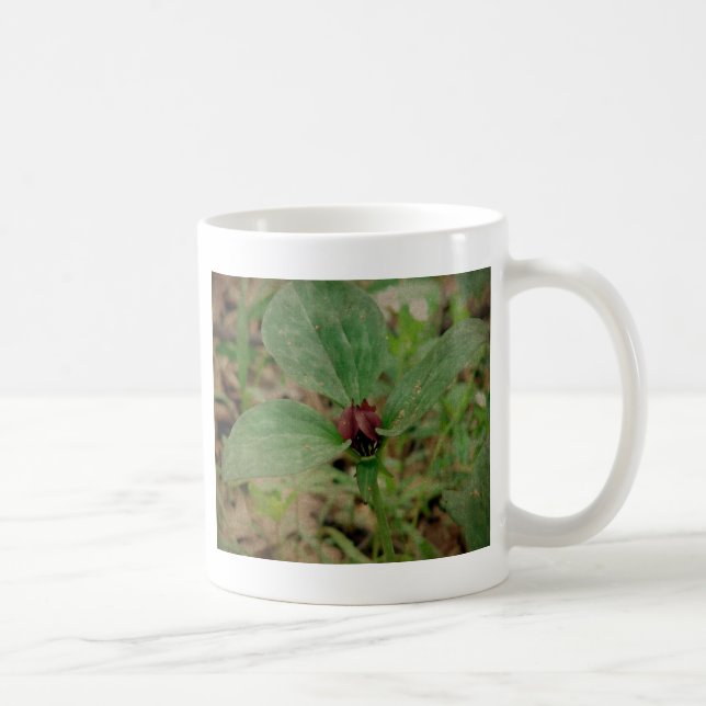 Trillium-Blume Kaffeetasse (Rechts)