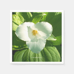 Trillium-Blume Serviette