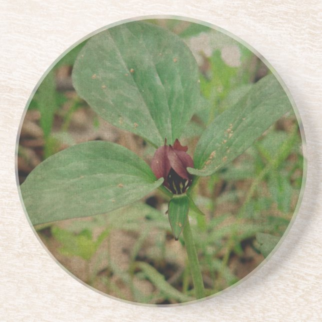 Trillium-Blume Untersetzer (Vorne)