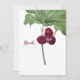 Trillium Botanisch Feiertagskarte