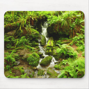 Trillium Falls at Redwood National Park Mousepad