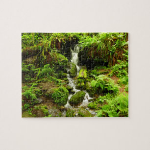 Trillium Falls at Redwood National Park Puzzle