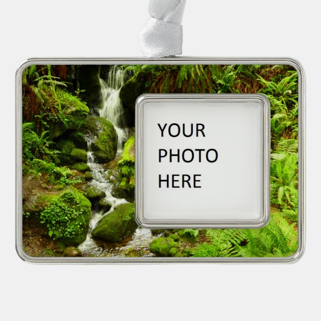 Trillium Falls at Redwood National Park Rahmen-Ornament Silber (Vorderseite)