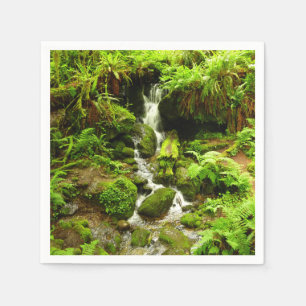 Trillium Falls im Redwood National Park Serviette