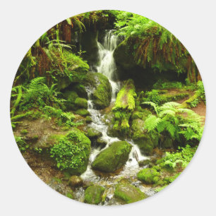 Trillium Falls im Redwood-Nationalpark Runder Aufkleber
