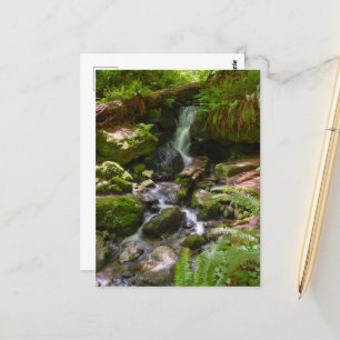 Trillium Falls Redwood Nationalpark California Postkarte