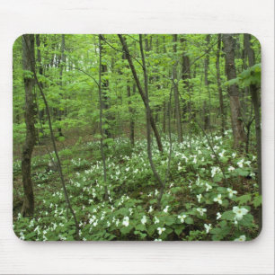 Trillium-Himmel Mousepad