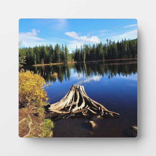 Trillium Lake, OR Fotoplatte (Vorderseite)