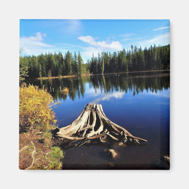 Trillium Lake, OR Magnet (Vorne)