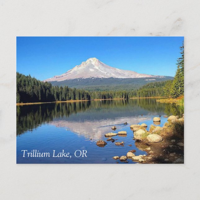 Trillium Lake, OR Postkarte (Vorderseite)