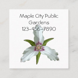 Trillium Spring Wildblume Business Card bemalt Quadratische Visitenkarte