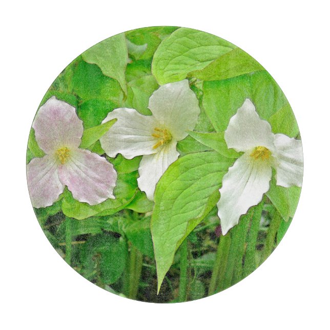 "Trillium"-Trennwand Schneidebrett (Vorderseite)