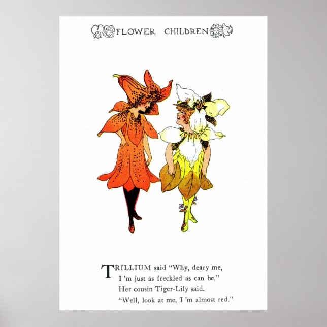Trillium und Tiger-Lily Poster (Vorne)